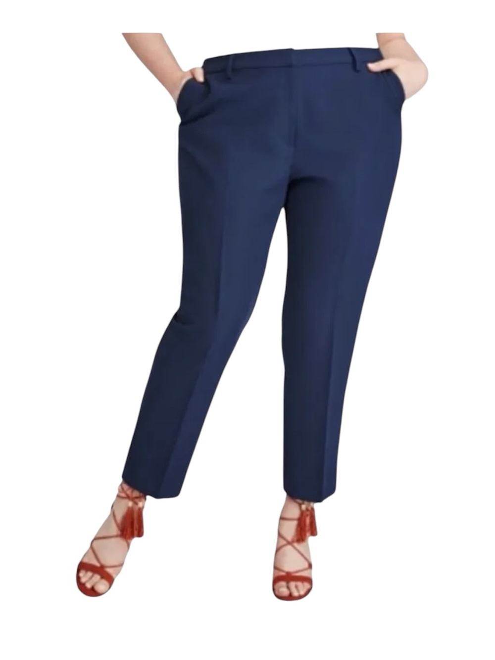 W. by Wantable Slim Ankle Pant in Navy 20W Plus Size Stretch